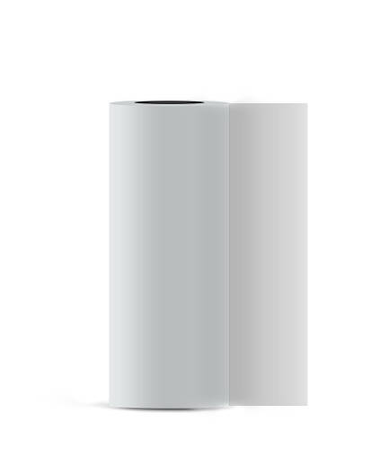 Dtf Pet Film 30cm - Zestones